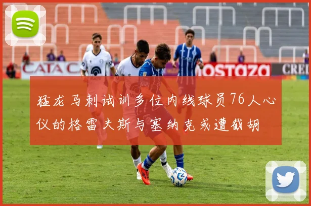 猛龙马刺试训多位内线球员76人心仪的格雷夫斯与塞纳克或遭截胡