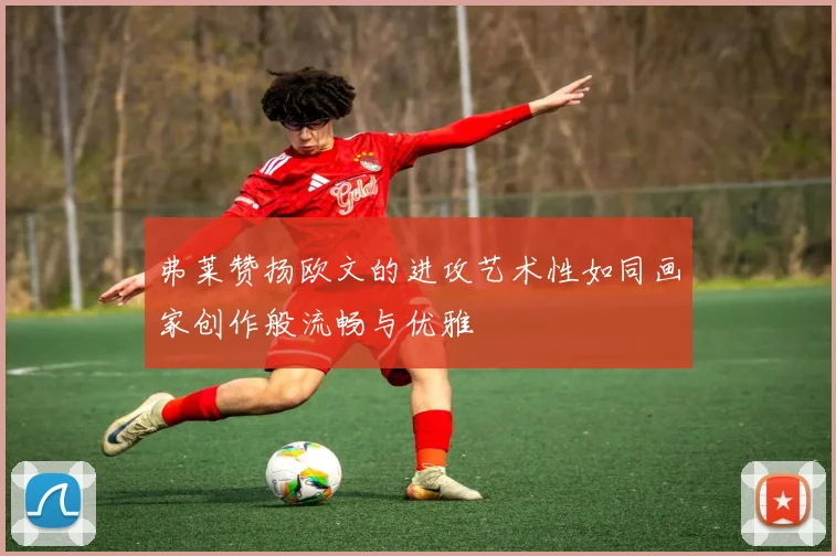 弗莱赞扬欧文的进攻艺术性如同画家创作般流畅与优雅